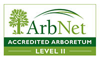 ArbNet Logo