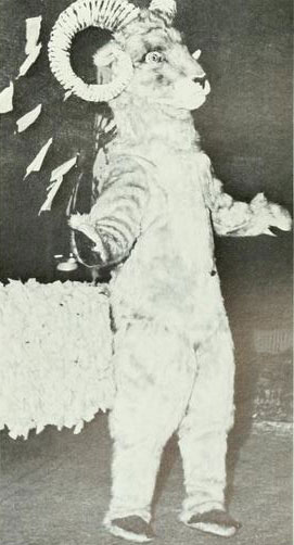 Dave Shuster