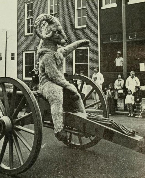 Cannon
