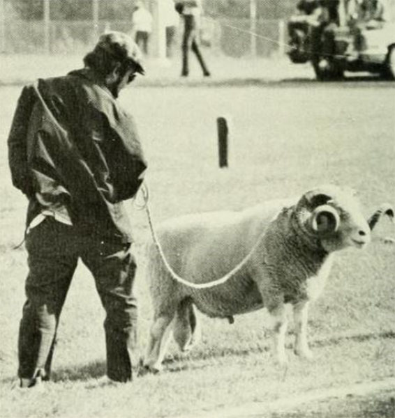 1977