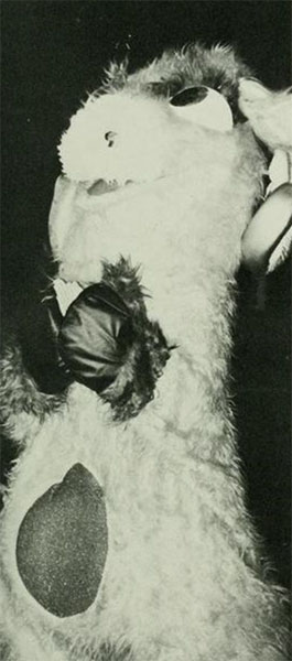 1986 Ram Costume