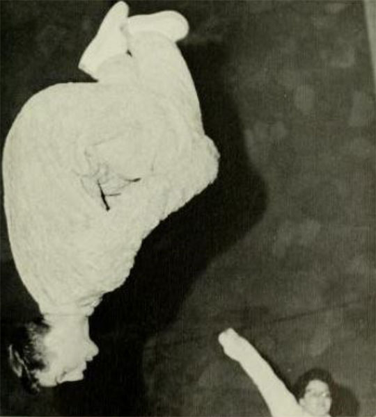 Curt Shearer