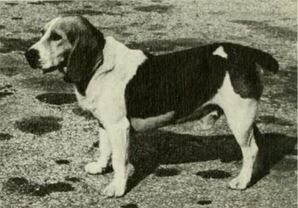 Charlie