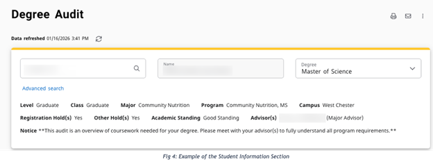 Degree Audit screenshot