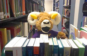 Library books image