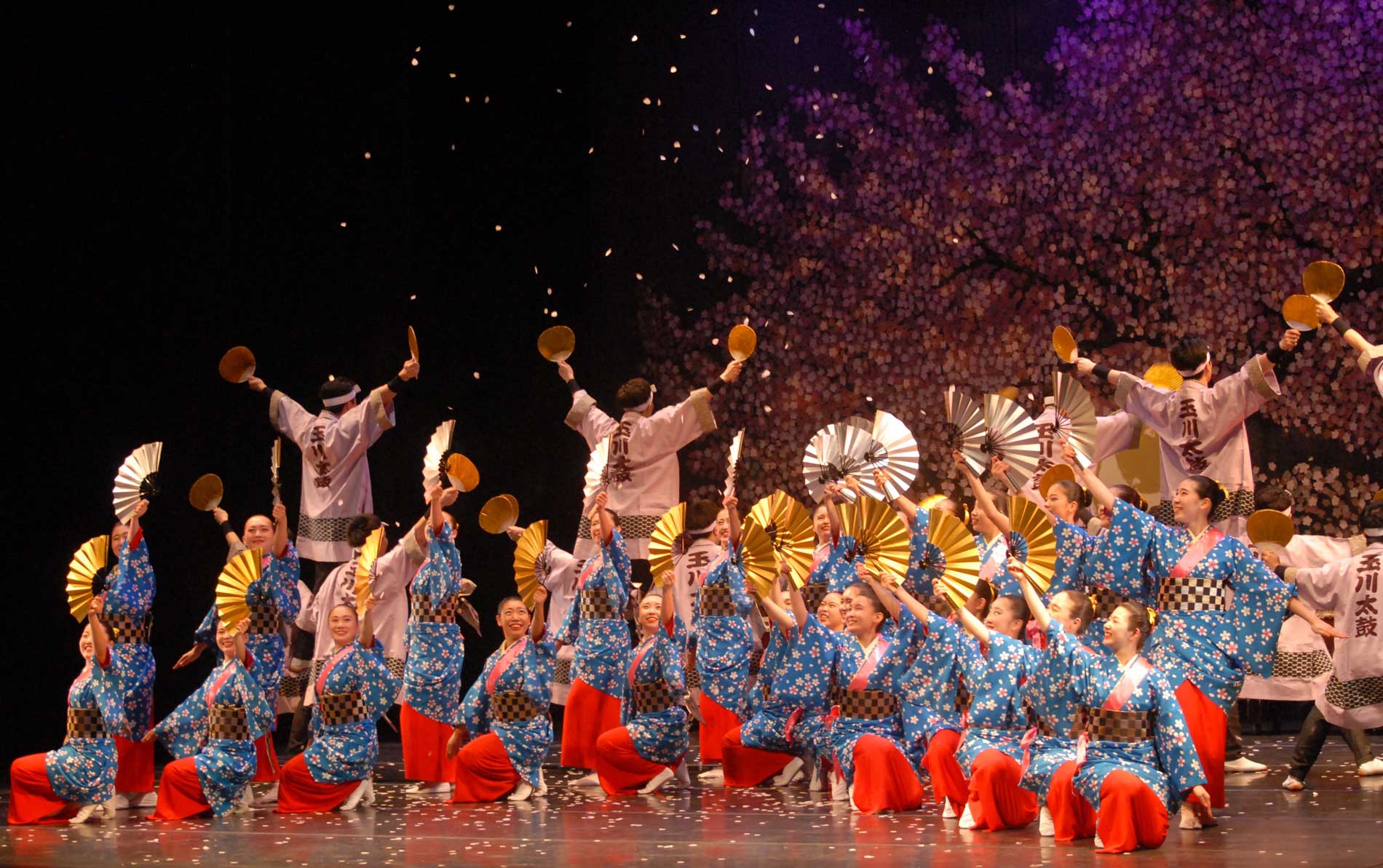 Group of Japanese dancers during their performance.