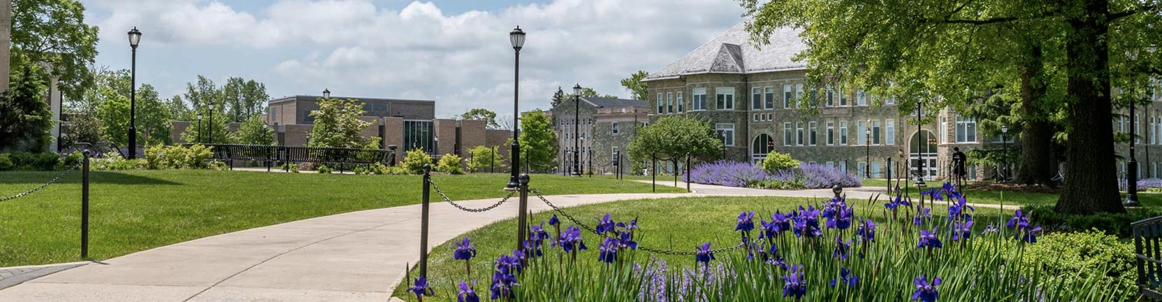 Quad at WCU