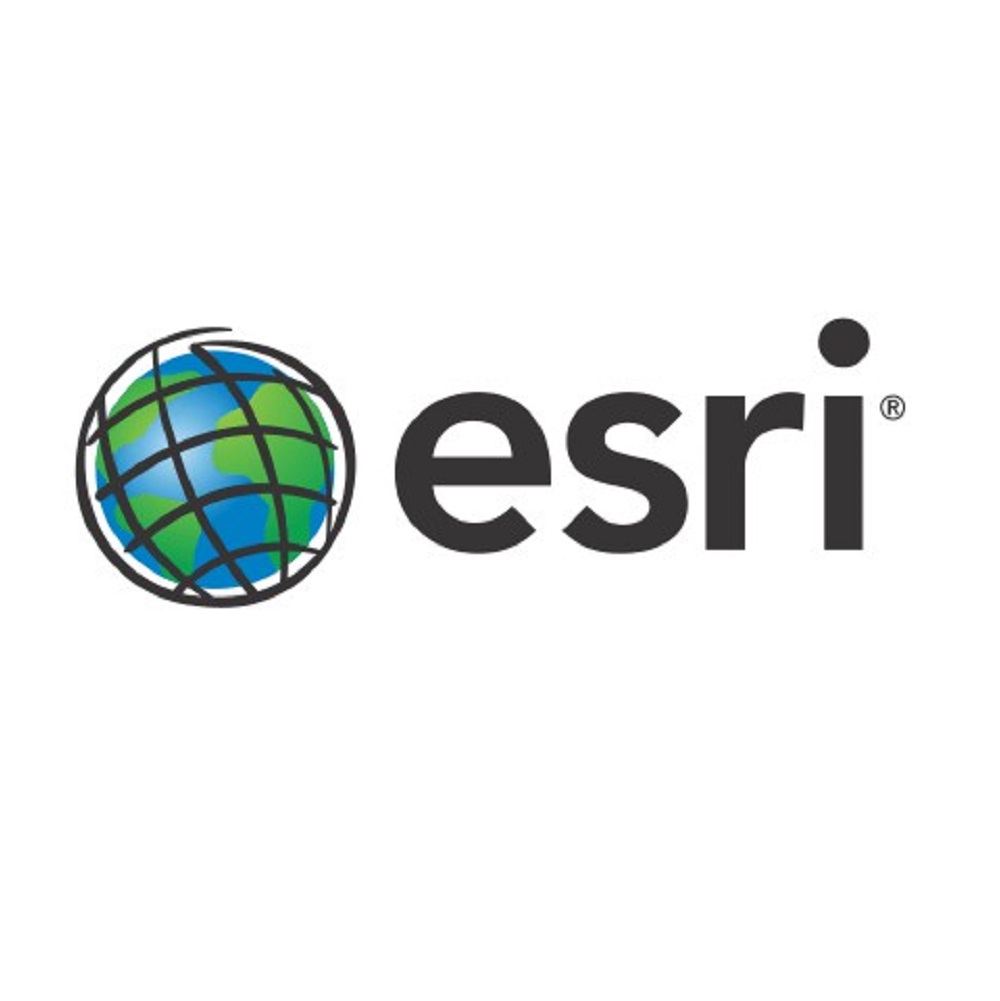 ESRI Logo
