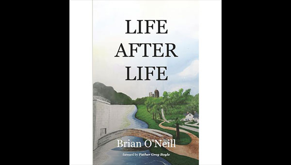 Book cover of Life after Life by Brian O'Neill