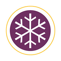 Decorative icon
