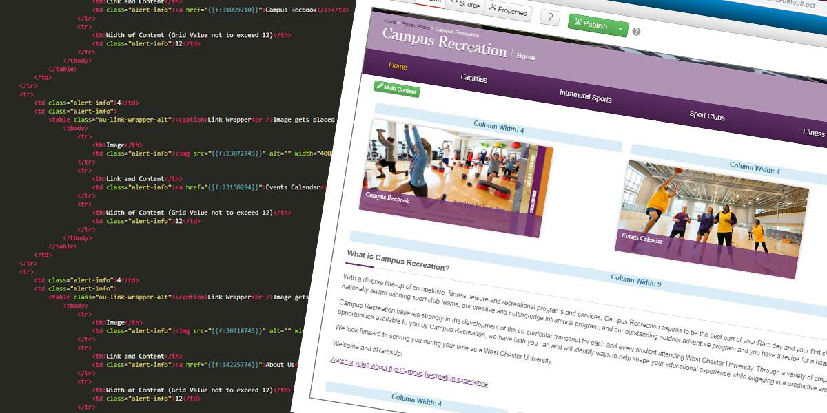 Web Design Examples