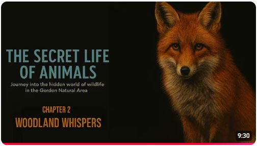 Secret Life of Animals Secret Life of Animals