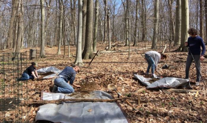 Volunteers and GNA interns planting trees (Earth Day 2018)