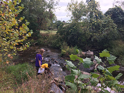 Students doing outdoor research