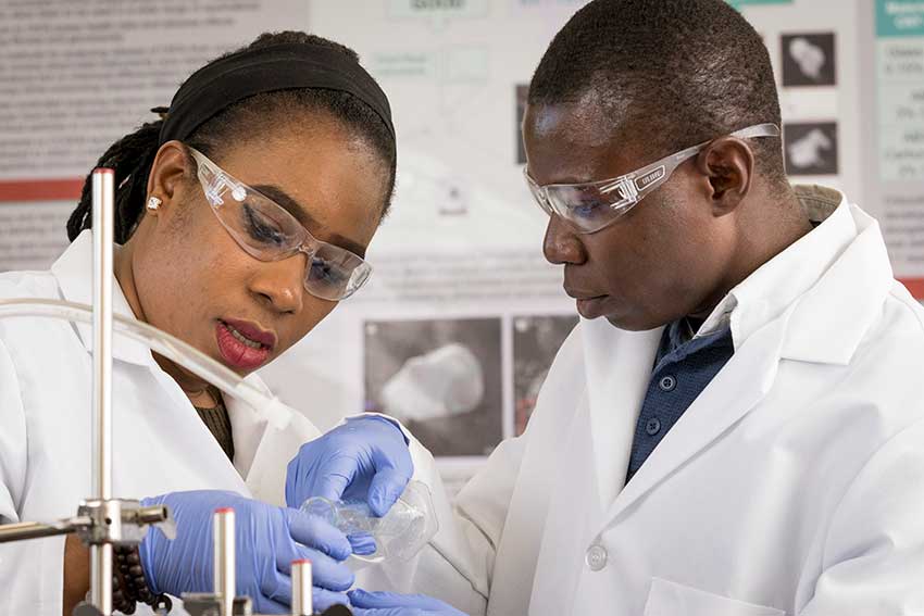 Group working in lab