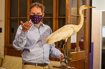 Explaining taxidermy specimens in Earth Day exhibition