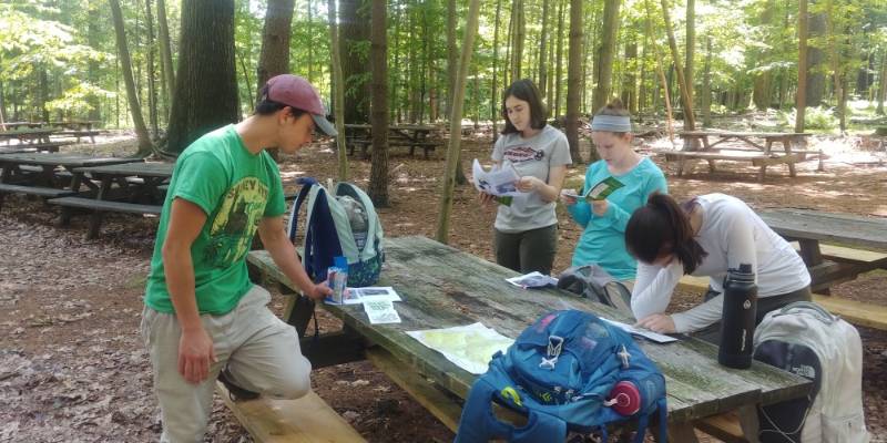 Undergraduates in the Chandler lab (Matt Desko, Samantha Silverman, Jessica Bickel, and Carolyne Schiebel) spent their summer in the woods collecting forest composition and structure data for a spotted lanternfly study.