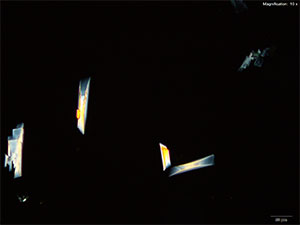 reagent 8 thumbnail