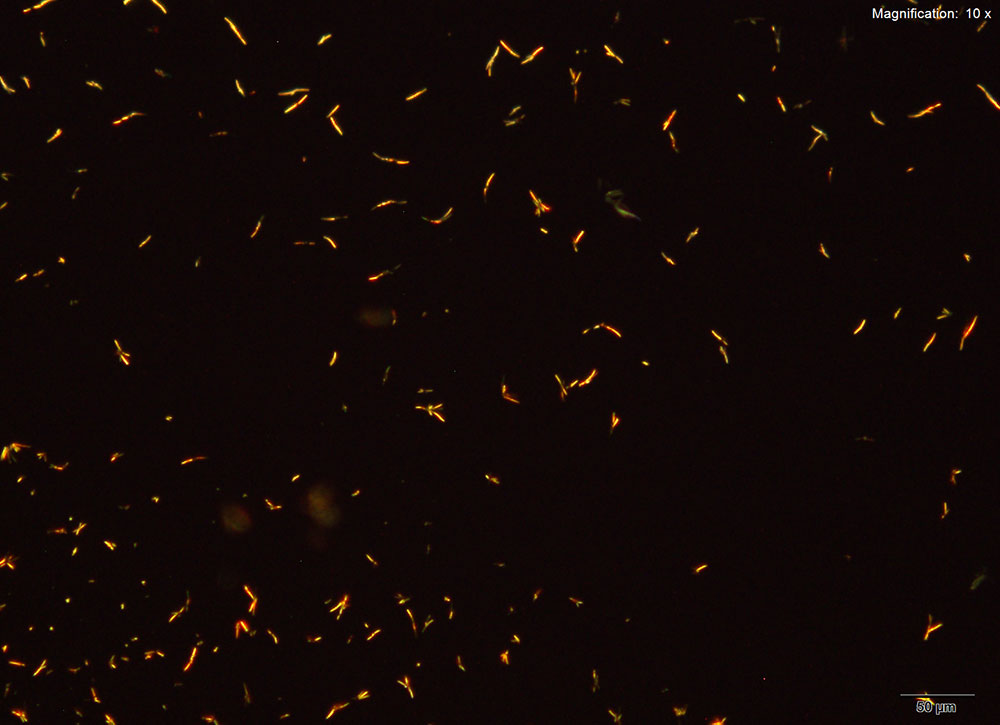 reagent 7