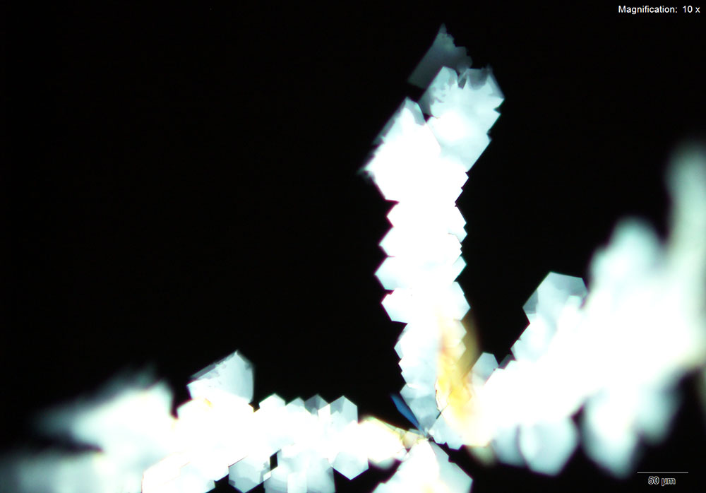 reagent 7