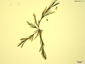 reagent thumbnail 8