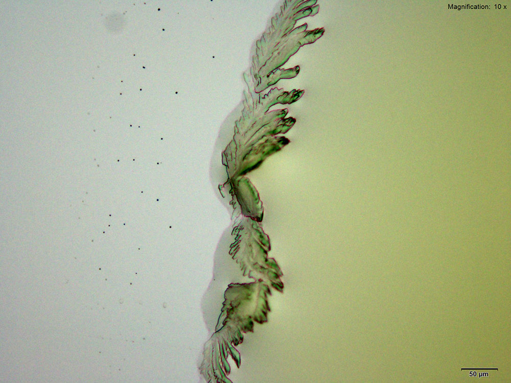 reagent 1