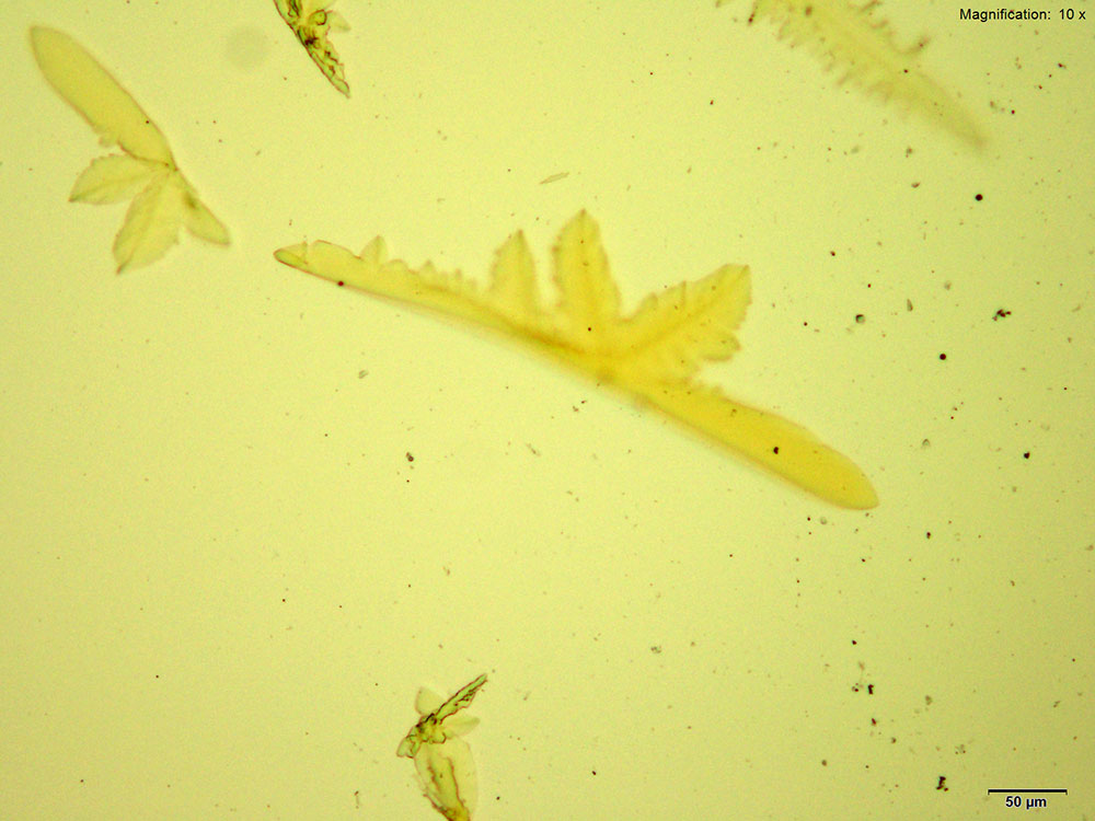 reagent 5