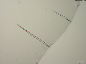 reagent thumbnail 16