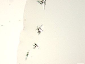 reagent thumbnail 17