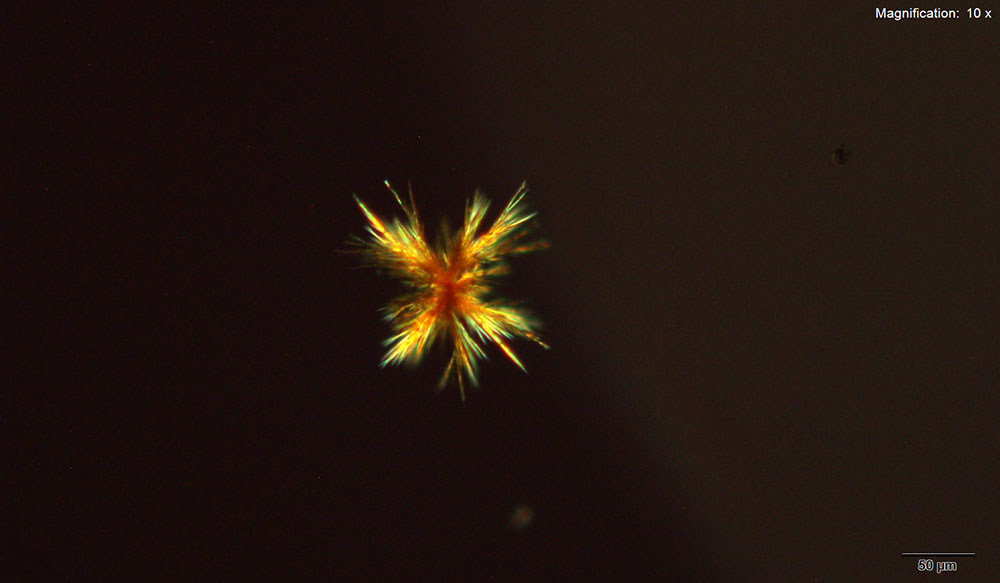reagent 5