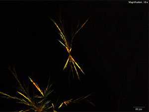 reagent thumbnail 6