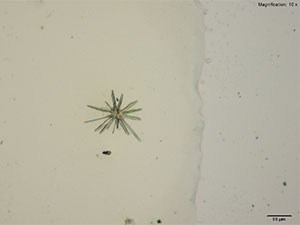 reagent thumbnail 1