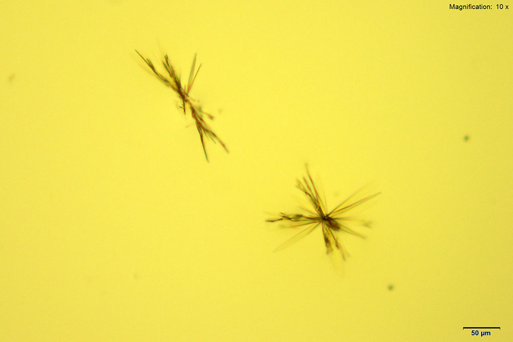 reagent 1