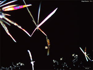 reagent thumbnail 13