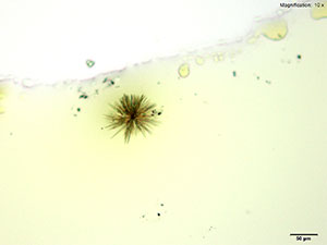 Methylone reagent 1 thumbnail
