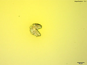 reagent image 1 thumbnail