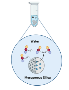 Mesoporous silica exhibit unexpected reactivity with thiols Collaboration with Stanford Image
