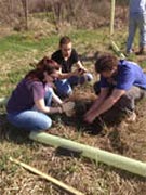 Planting Along the brandywine volunteers