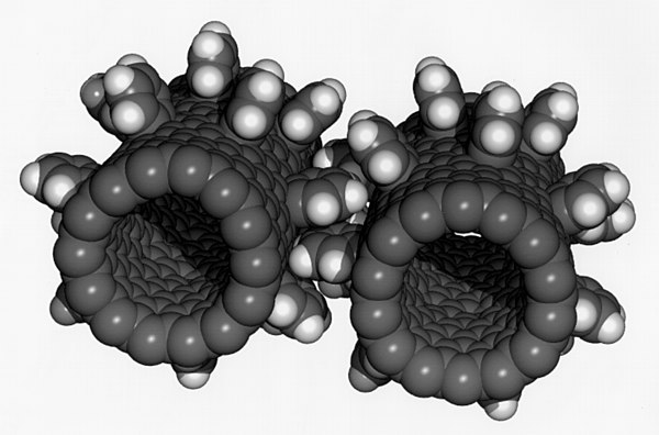 Picture from the Wikipedia page on nanotechnology