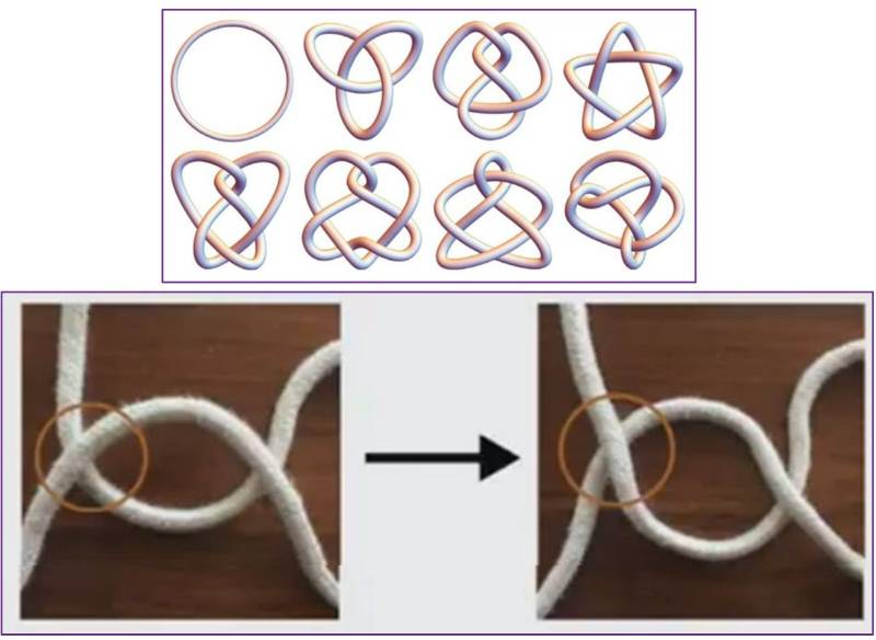 Henrich Fall 2023 Colloquium Knots Picture