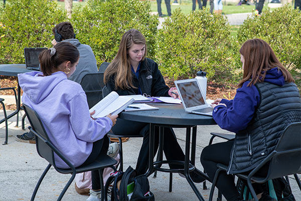 Current Undergraduate Students