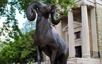 University College